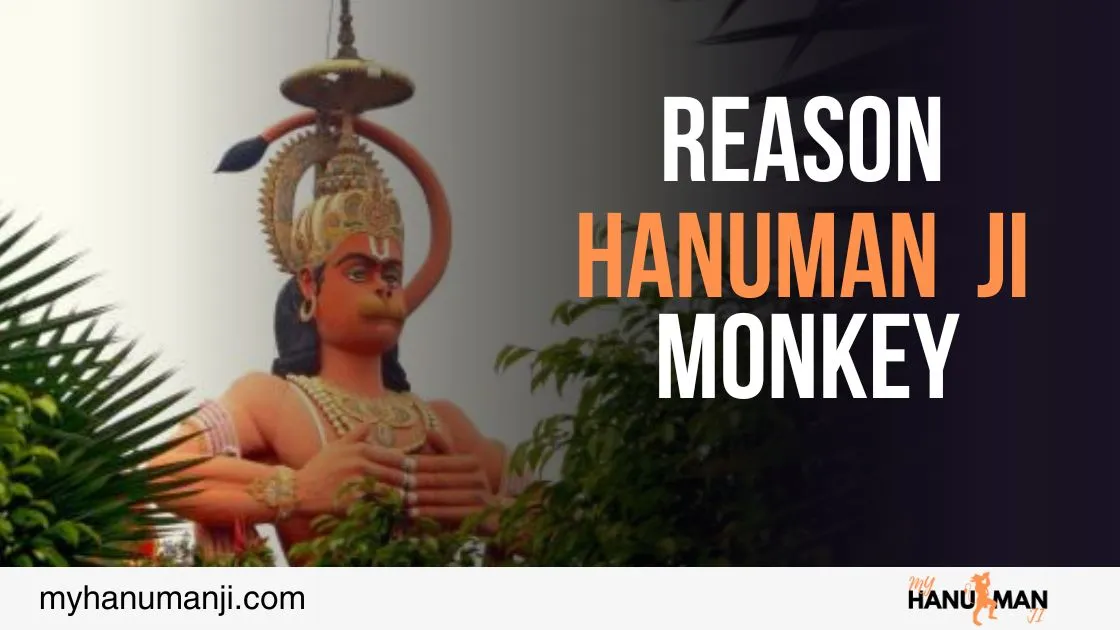 picture explain why hanuman monkey from